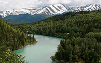 Kenai