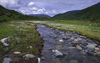 Moose Creek