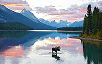 Moose Pass