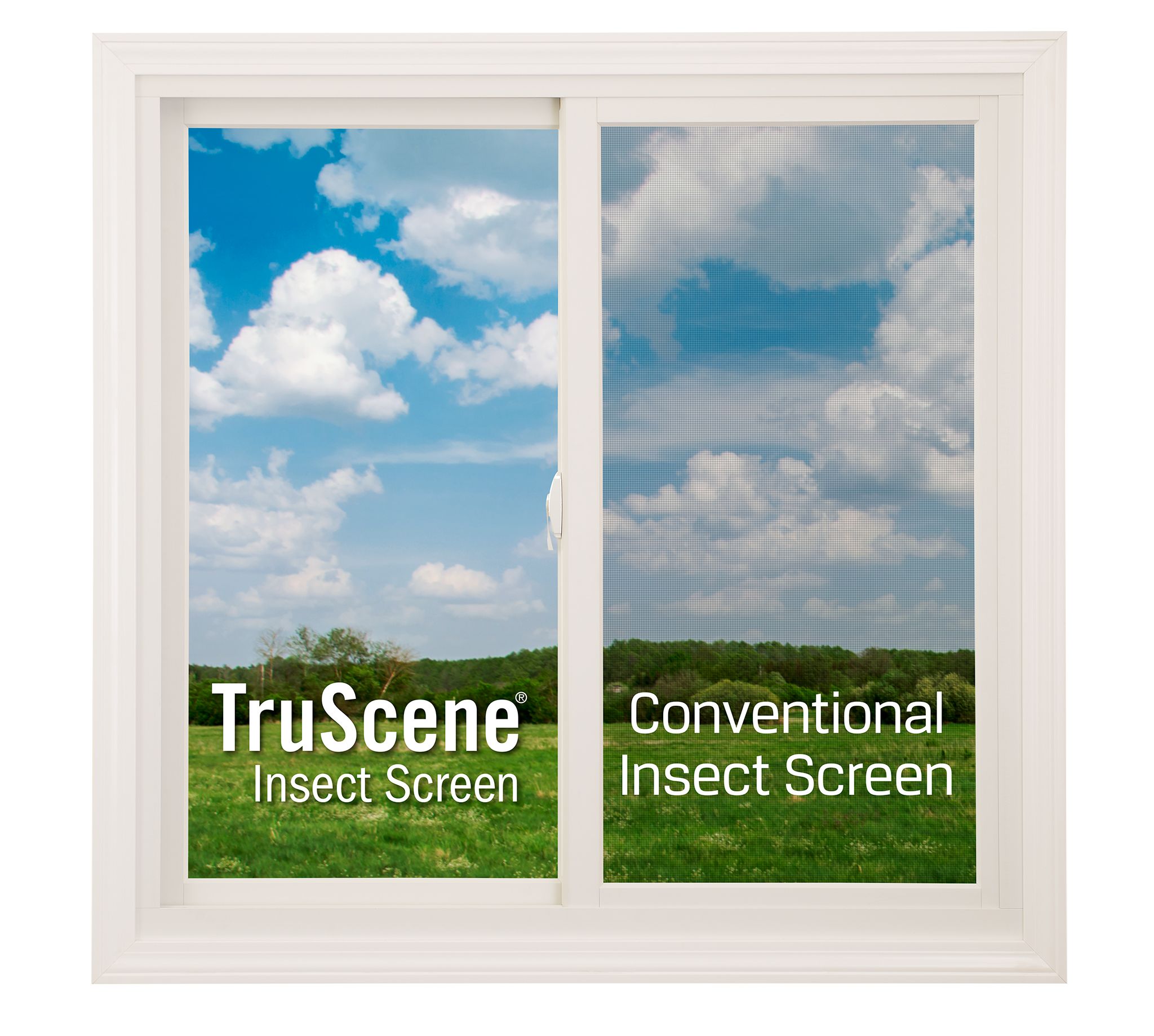 truscene insect screen